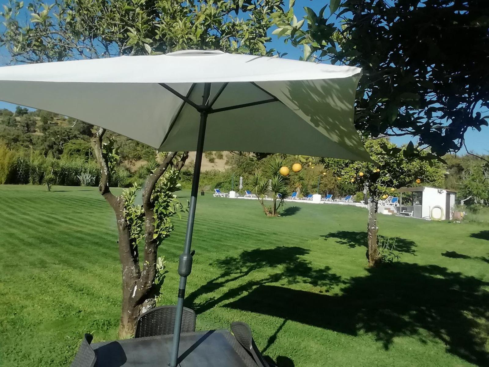 Monte Do Adail Turismo Rural Casa De Campo Vila Nova de Milfontes Eksteriør bilde
